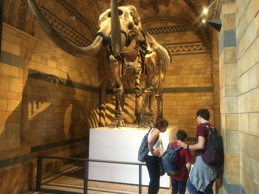 London: Natural History Museum Entry Ticket and Guided Tour - Key takeaways before you go
