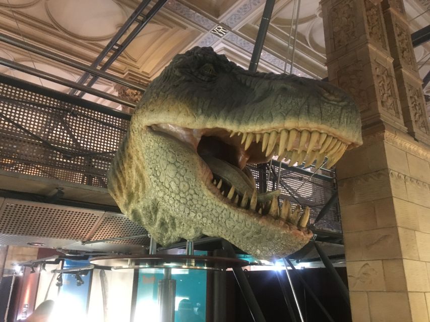 London: Natural History Museum Entry Ticket and Guided Tour - Hintze Hall: the blue whale and dinosaur giants