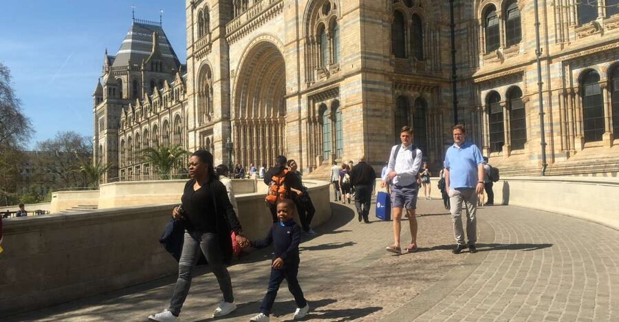 London: Natural History Museum Entry Ticket and Guided Tour - Wildlife Garden: a calmer reset with birds and bees