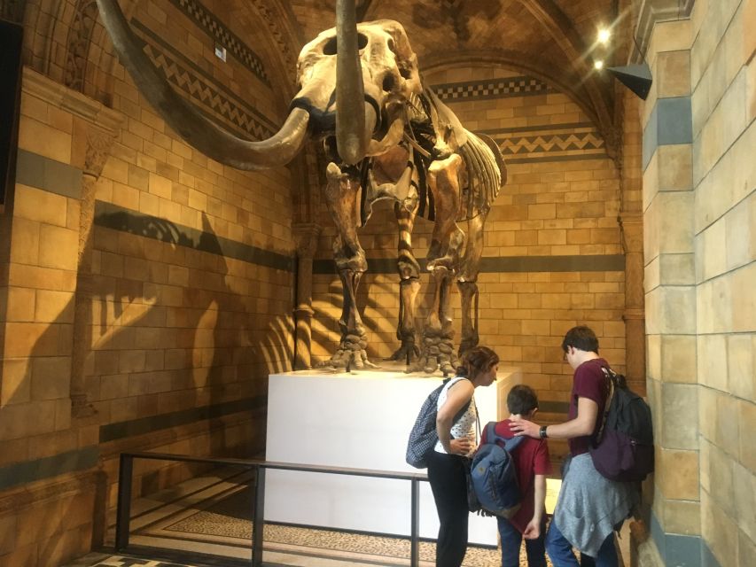 London: Natural History Museum Entry Ticket and Guided Tour - The Natural History Museum in 1 hour: a smart sprint