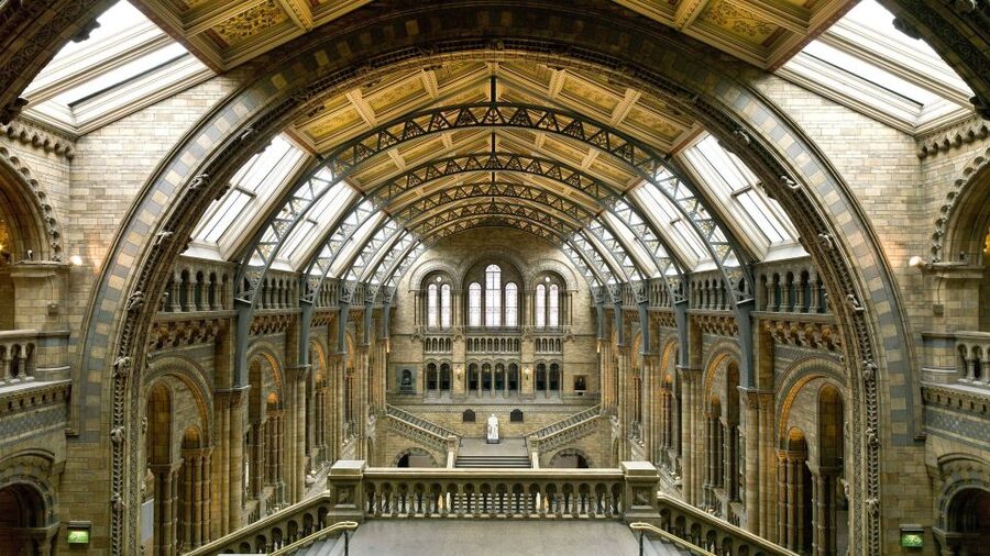 London: Natural History Museum Guided Tour - Key highlights that make the tour worth it