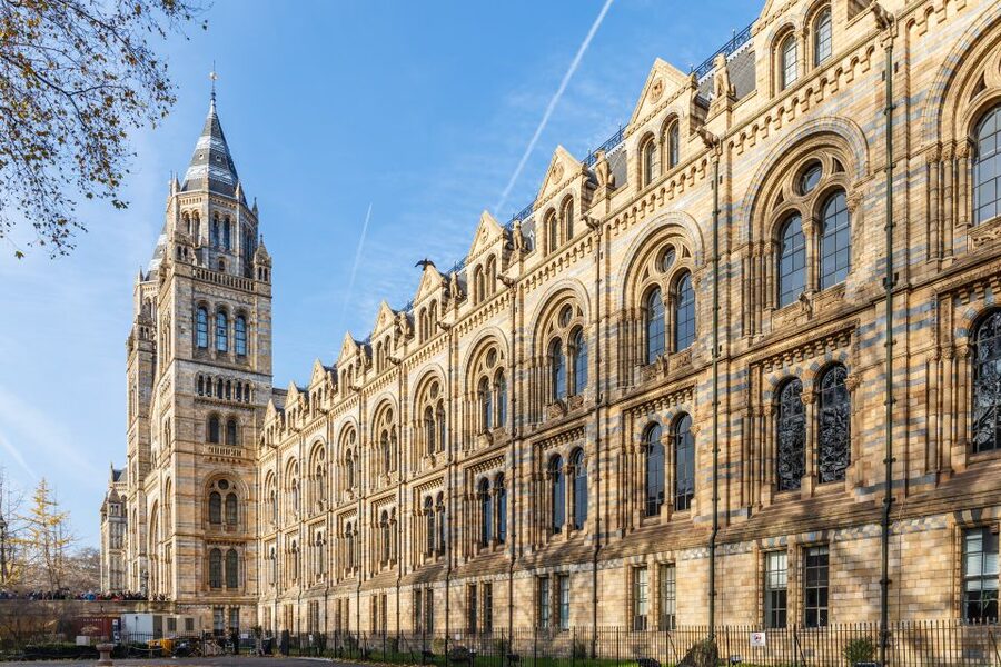 London: Natural History Museum Guided Tour - The dinosaur sweep: Sophie, teeth fossils, and the big-bang of questions