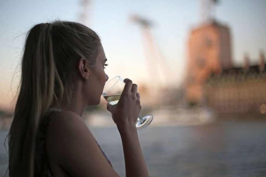 London: River Thames Evening Cruise with Bubbly and Canapés - Canapés and sparkling wine, what that snack moment is really like