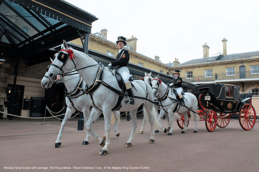 London: Royal Walking Tour with Guard Change & Royal Mews - Buckingham Palace State Rooms: the seasonal window you must plan for