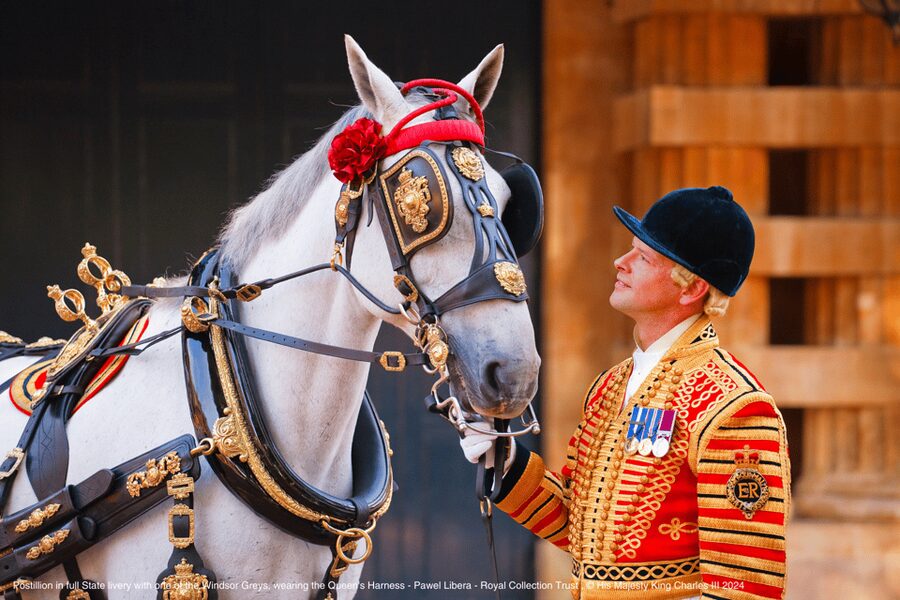 London: Royal Walking Tour with Guard Change & Royal Mews - Guard Change viewing: how the option affects what you see