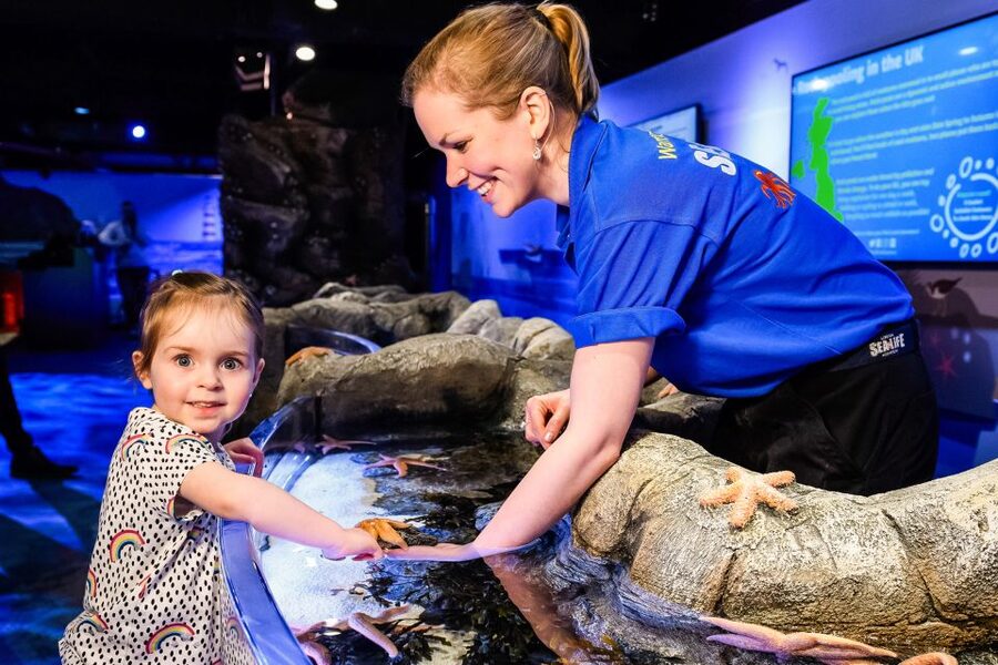 London: SEA LIFE Entry Ticket - Walking the Aquarium Like a Mini-World Tour Across 3 Floors