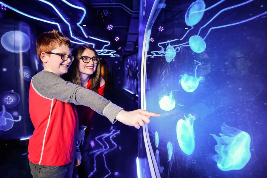 London: SEA LIFE Entry Ticket - The Rainforest and Amazon-Style Adventure: Tarantulas, Ants, Crocs, and Piranhas