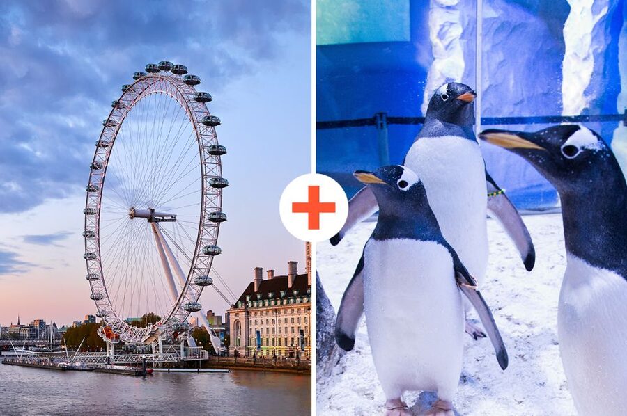 London: SEA LIFE & London Eye Combo Ticket - SEA LIFE’s Themed Layout: What to Prioritize