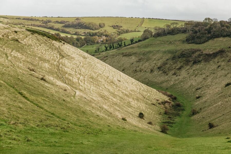 London: South Downs White Cliffs Day Trip with Train Tickets - Key takeaways before you go