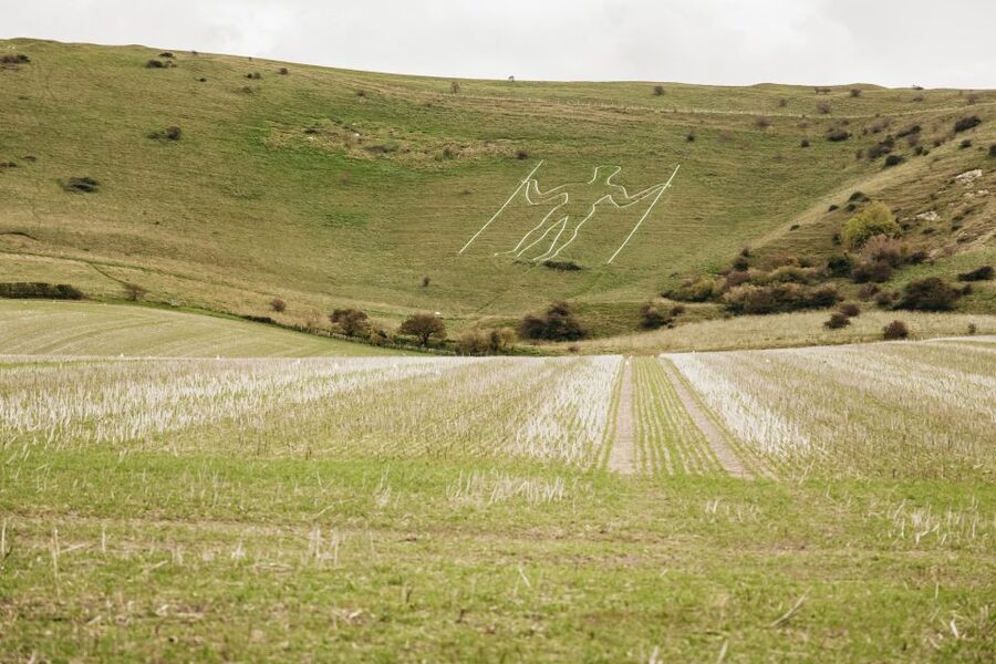 London: South Downs White Cliffs Day Trip with Train Tickets - Middle Farm: the Sussex reset for lunch and local shopping
