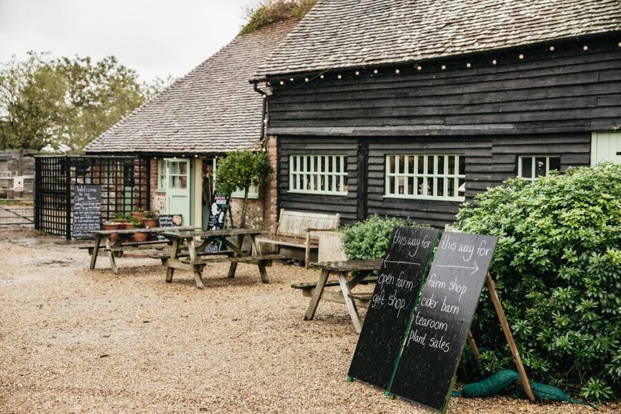 London: South Downs White Cliffs Day Trip with Train Tickets - How the day timing works in 9.5 hours
