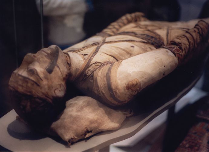 London: Tour of the British Museum - Parthenon fragments: Greece without the guesswork