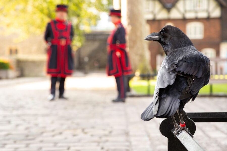 London: Tower of London, Thames Boat & Changing of the Guard - Thames boat cruise: a scenic break with real context