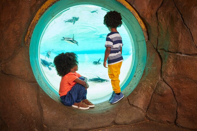 London Zoo Entry Ticket - Money and value: is $41.82 a fair price?