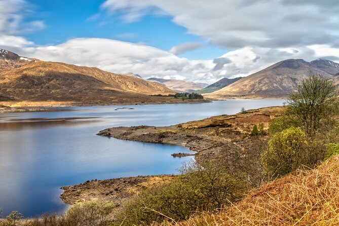Luxury Private Tour of The Highlands & Loch Ness from Edinburgh - Kilmahog and the Trossachs: Highland cows, feeding time, and a slower kind of magic