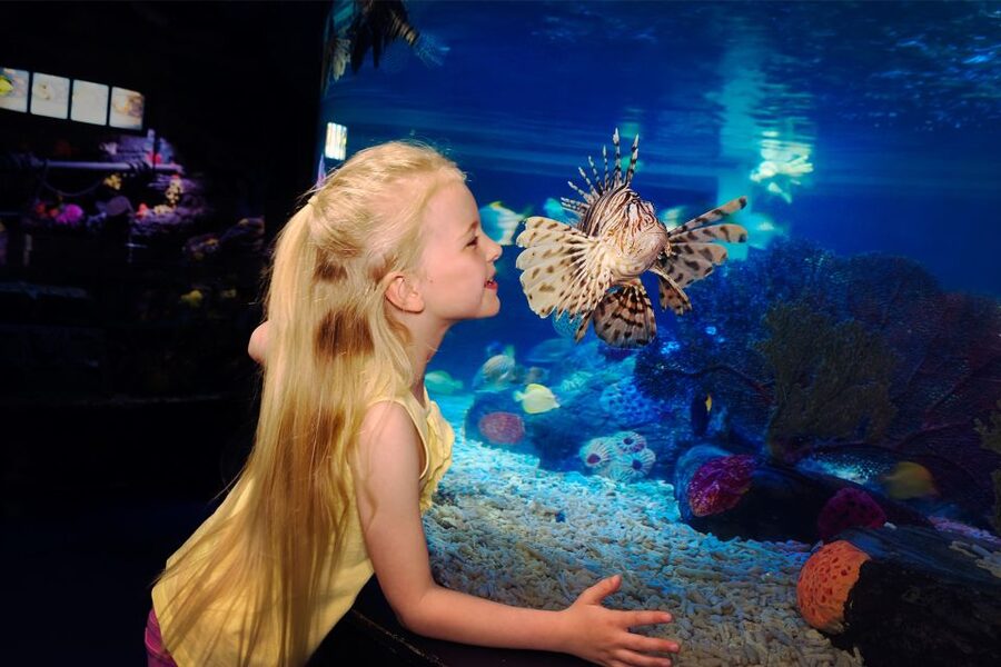 Manchester: SEA LIFE Entrance Ticket - Who This Experience Suits Best (and Who Might Skip It)
