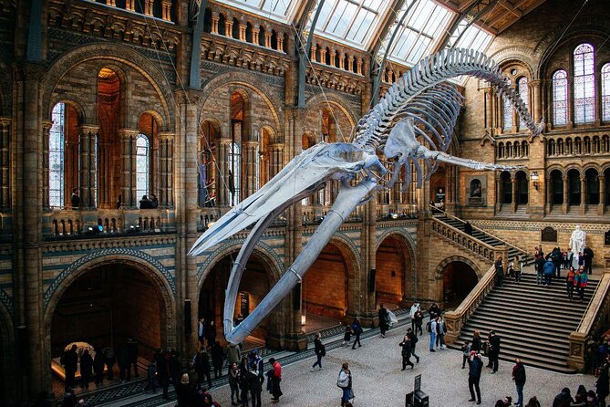 Natural History Museum London - Exclusive Guided Museum Tour - Key Highlights Worth Prioritizing