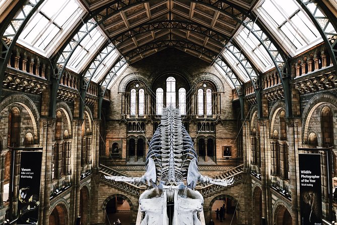 Natural History Museum London - Exclusive Guided Museum Tour - Why This Natural History Museum Guided Tour Feels So Efficient