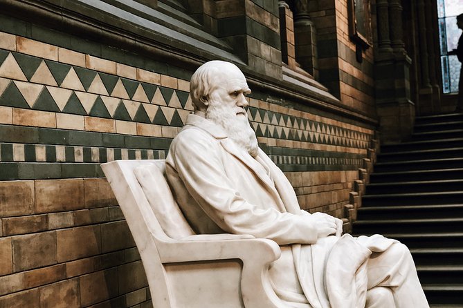 Natural History Museum London - Exclusive Guided Museum Tour - Stop 1 at the Natural History Museum: From Planet Origins to Human Clues