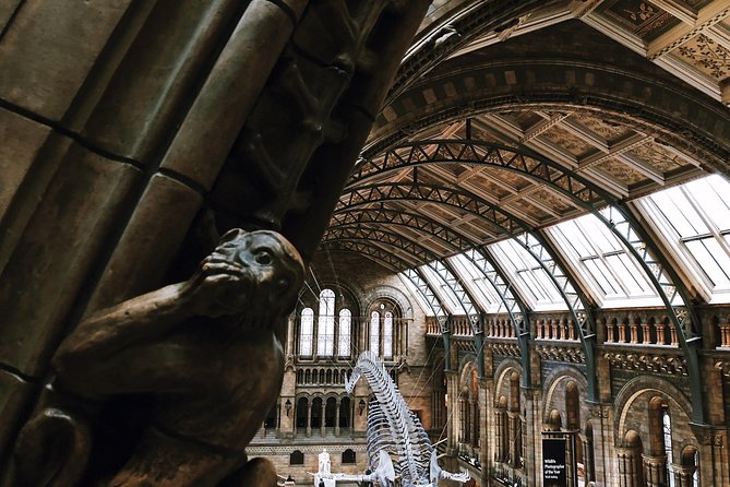 Natural History Museum London - Exclusive Guided Museum Tour - The Vault-Level Wow: Gems, Giant Sequoia, and Museum Architecture