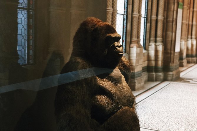 Natural History Museum London - Exclusive Guided Museum Tour - Price and Value: Paying for Direction, Not Just Entry