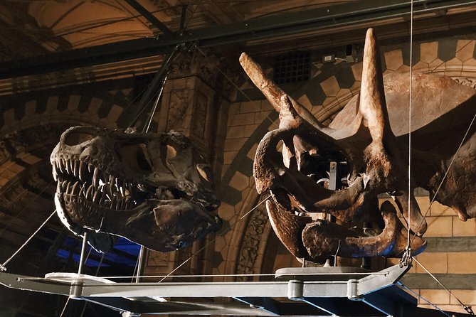 Natural History Museum London - Exclusive Guided Museum Tour - Who This Tour Is Best For (And Who Might Prefer Another Style)