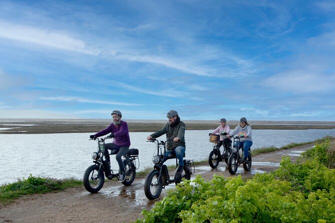 New Forest E-Bike Adventure - Key things to know before you ride