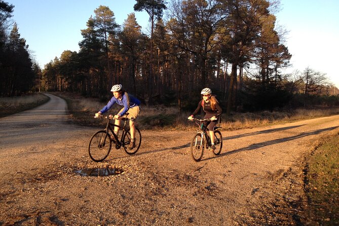 New Forest Sunset Bike Rides - Key things to know before you go