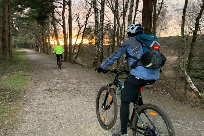 New Forest Sunset Bike Rides - Brockenhurst start point: easy to reach, easy to plan around