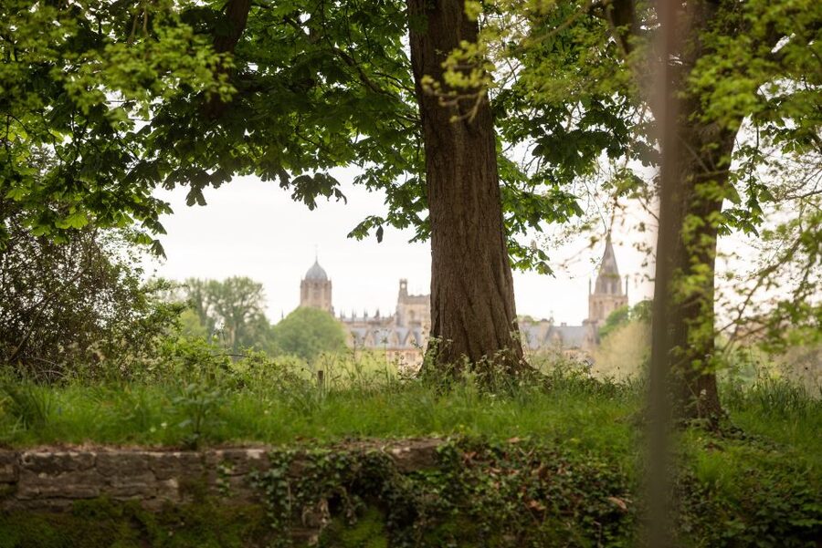Oxford: Evening Sightseeing River Cruise with a Cocktail - Who This Cruise Is Perfect For, and Who Should Skip It