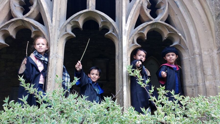 Oxford: Harry Potter Insights Divinity School Group Tour - The Bodleian Divinity School film set: your best Hogwarts-style stop