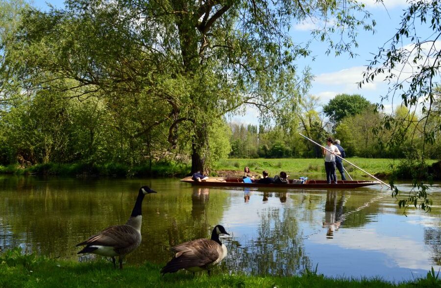 Oxford: Official University and City Walking Tour - If you have time: Christ Church Meadows and classic punting country