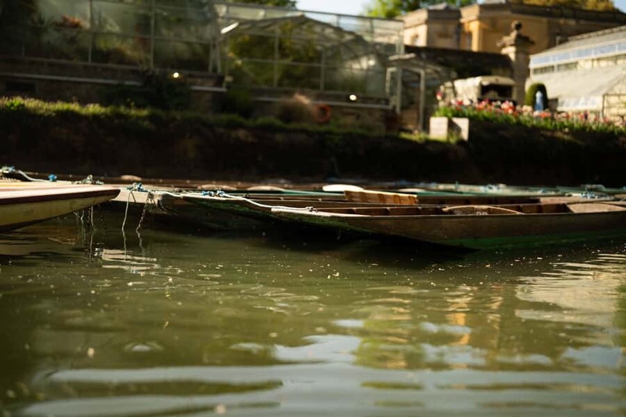 Oxford: Punting Tour on the River Cherwell - Why Punting the Cherwell Is Such a Good Oxford Taster