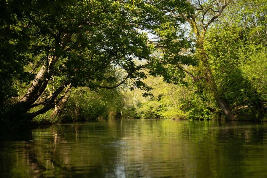 Oxford: Punting Tour on the River Cherwell - Oxford Botanic Garden From the Water: The Oldest in Britain