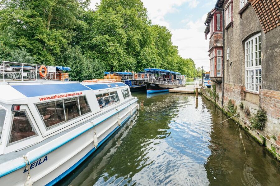Oxford: River Thames Sightseeing Cruise - Wildlife, Wildlife Spotting, and the Peace Factor