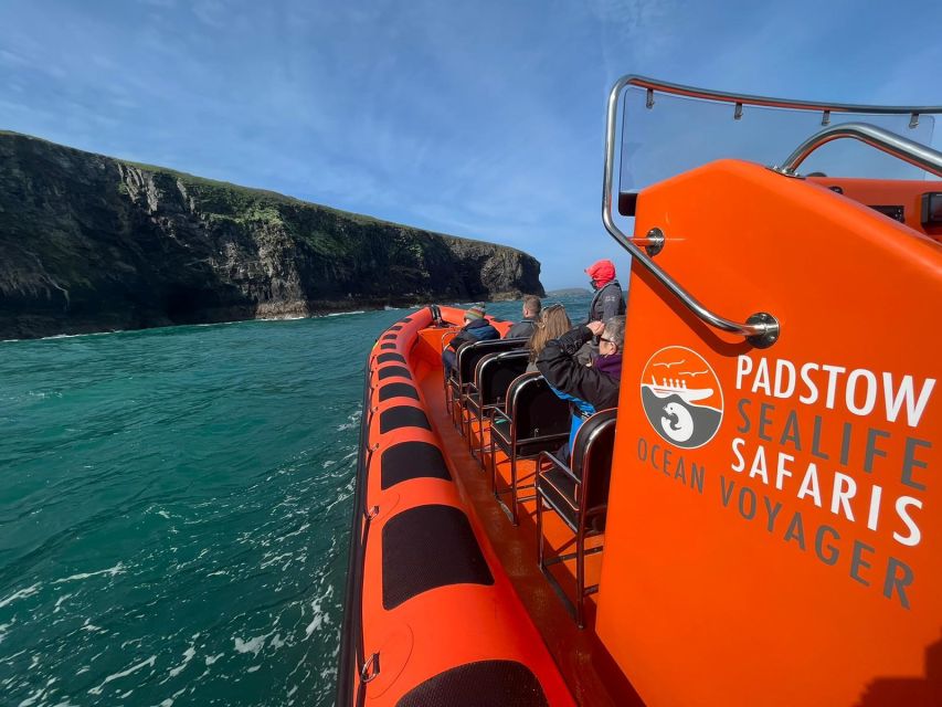 Padstow: Guided RIB Sealife Safari - April to July extras: nesting cliffs and the puffin season chance