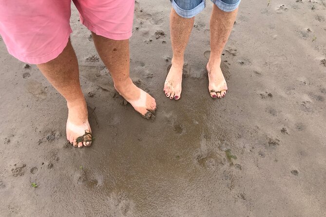 Pilgrims' Path walk across the sands to Holy Island - Quick hits to help you plan