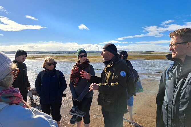 Pilgrims' Path walk across the sands to Holy Island - Meeting point in Beal, then a smooth return to the same spot