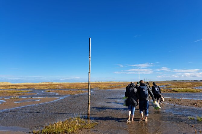 Pilgrims' Path walk across the sands to Holy Island - Lindisfarne Priory stop: panoramic views and village time