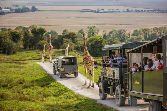 Port Lympne Day Ticket - Key Highlights You Will Care About