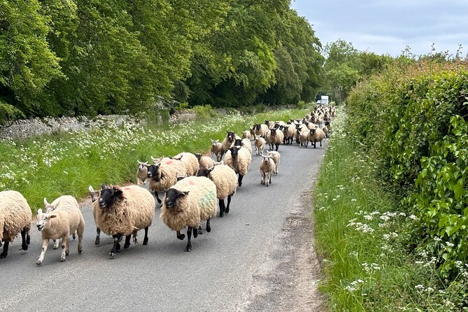 Private Day Tour from Bath to the Captivating Cotswolds - Secret villages and quieter gardens: how the route avoids the worst crowds