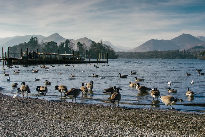 Private Lake District Tour: Ten Lakes Spectacular - Derwentwater cruise stop: 50 minutes that make the day feel complete