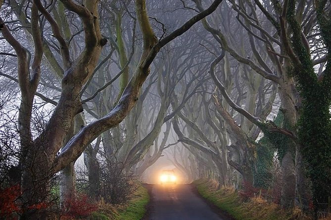 Private Luxury Mercedes Rope Bridge Giants Causeway Coastal Tour - Dunluce Castle ruins and the Greyjoy connection
