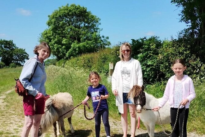 Private Miniature Horse Walking near Lincoln - Key highlights before you go