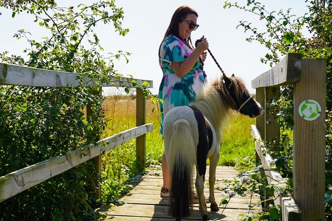 Private Miniature Horse Walking near Lincoln - Getting Oriented at Walcott, Then Meeting Stella and Your Falabella