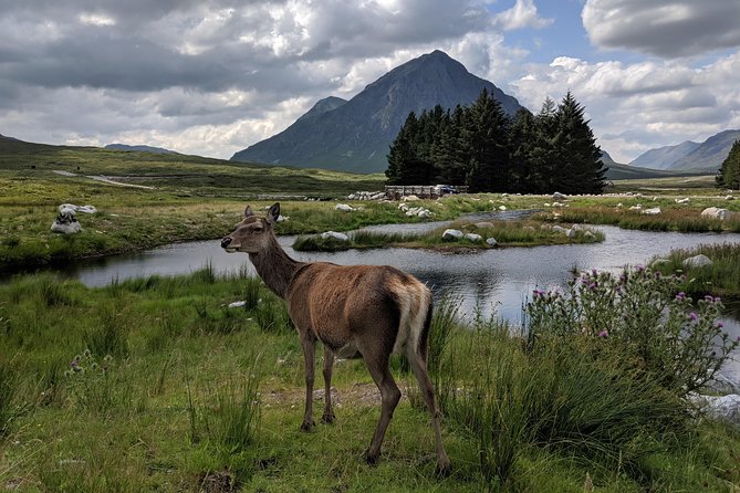 Private One Day Highlands Tour of Scotland - Price and value: what $897.71 gets your group