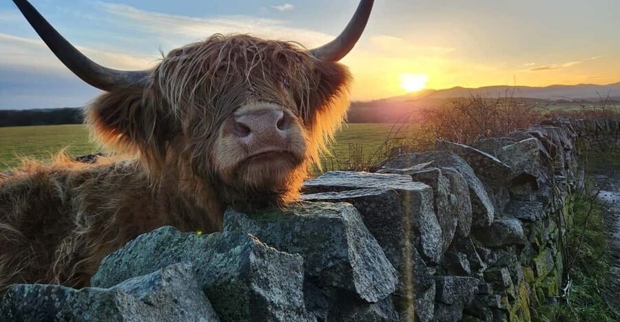 Private Tour of Highlands, Lochs & Castles from Edinburgh - Loch Tulla viewpoint, a Stirling Castle pass, and the Kelpies finale