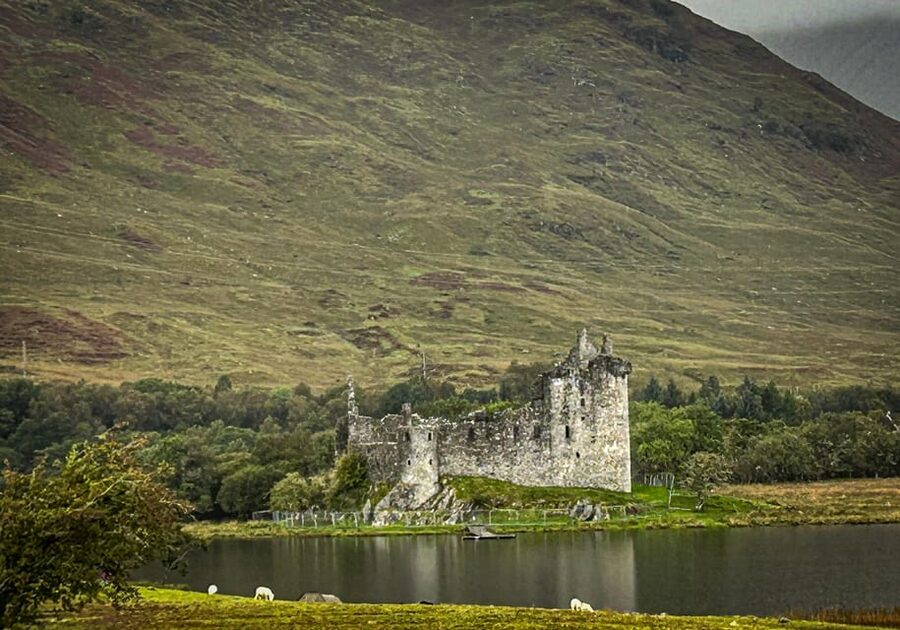 Private Tour of Highlands, Lochs & Castles from Edinburgh - Craigie’s Farm Deli and Cafe, Highland coos, and carrot time