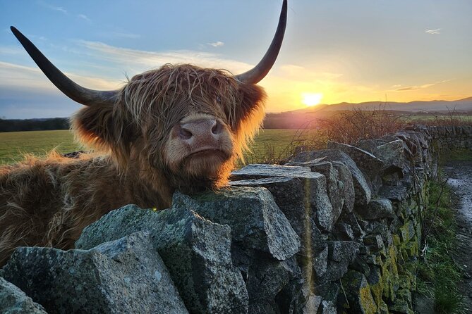 Private Tour of the Scottish Highlands from Edinburgh - A Private Highlands Day, Starting from Edinburgh