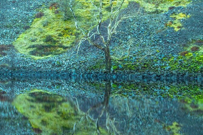 Private Tour of the Scottish Highlands from Edinburgh - Pickup and Driving Comfort You Should Plan Around